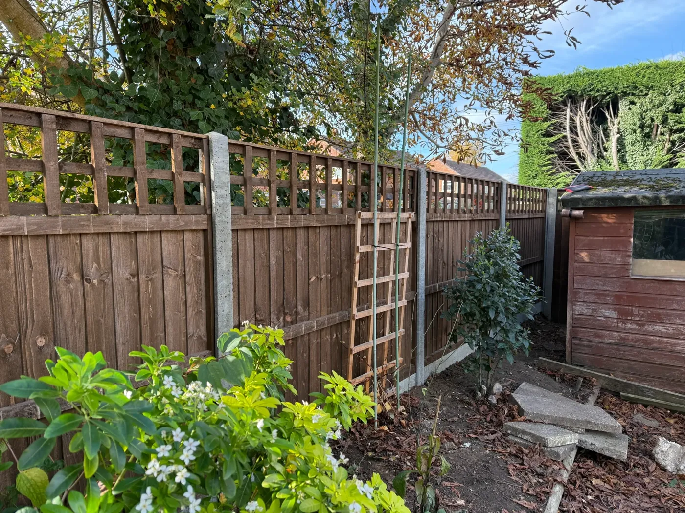Trellis topped fence panels fitted in a Guildford garden