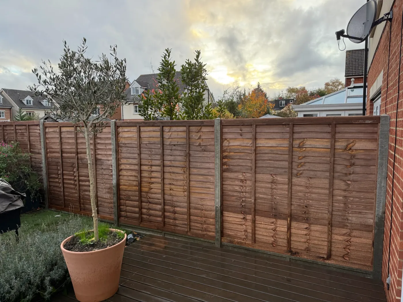 Replacement fence panels along a rear garden boundary