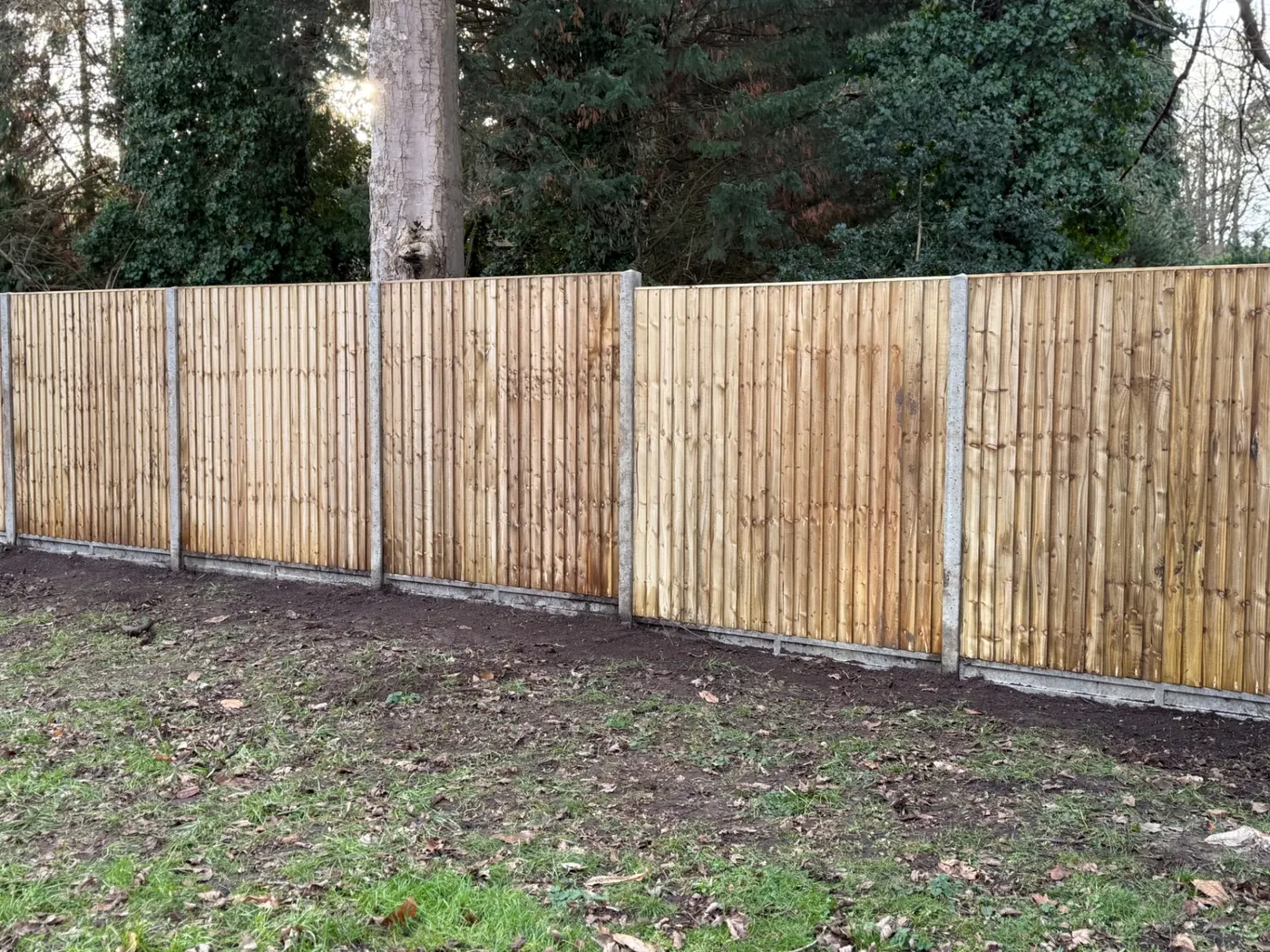 Feather edge fence line installed at the edge of woodland