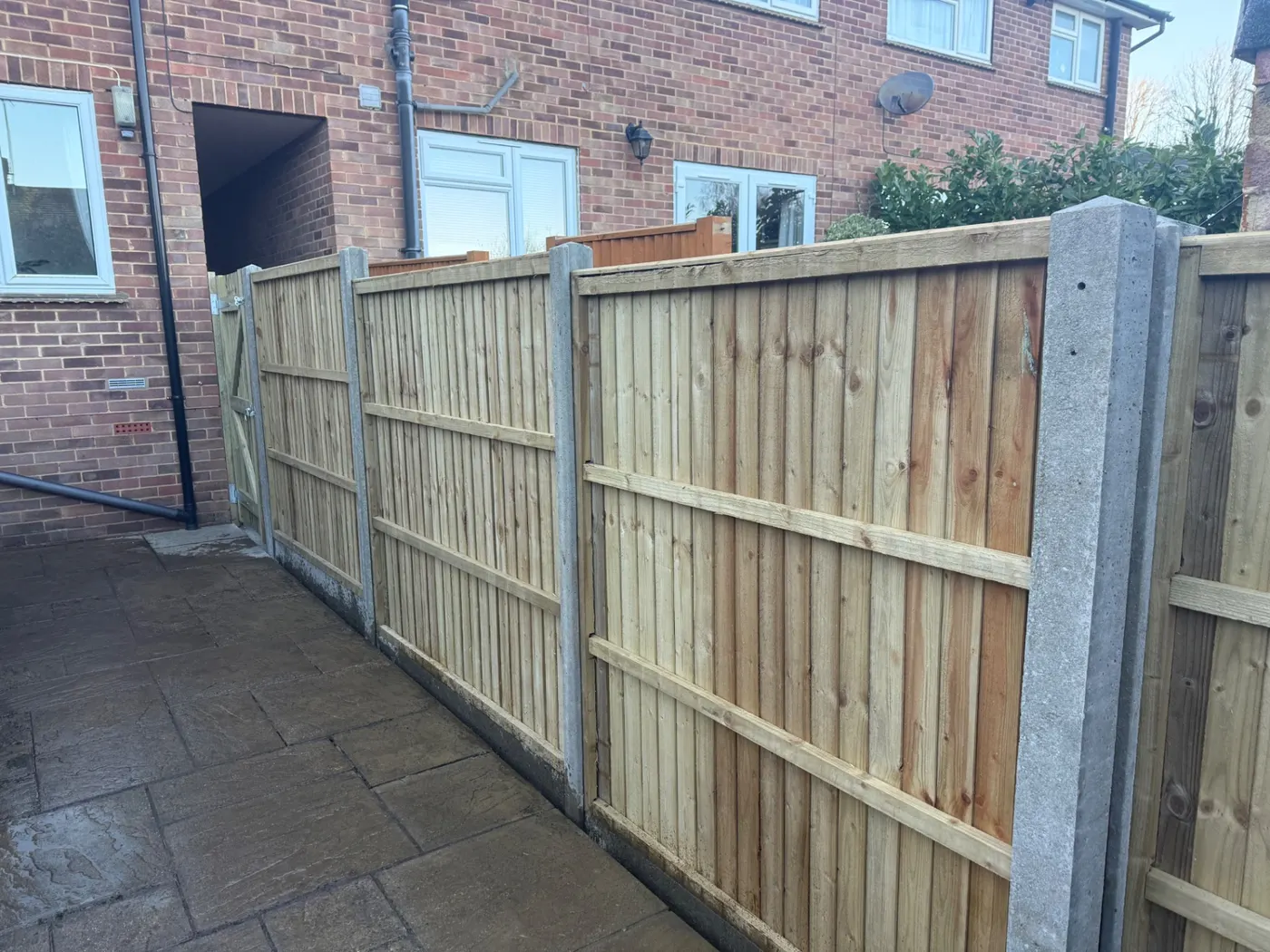 Closeboard fence panels and side gate along a driveway