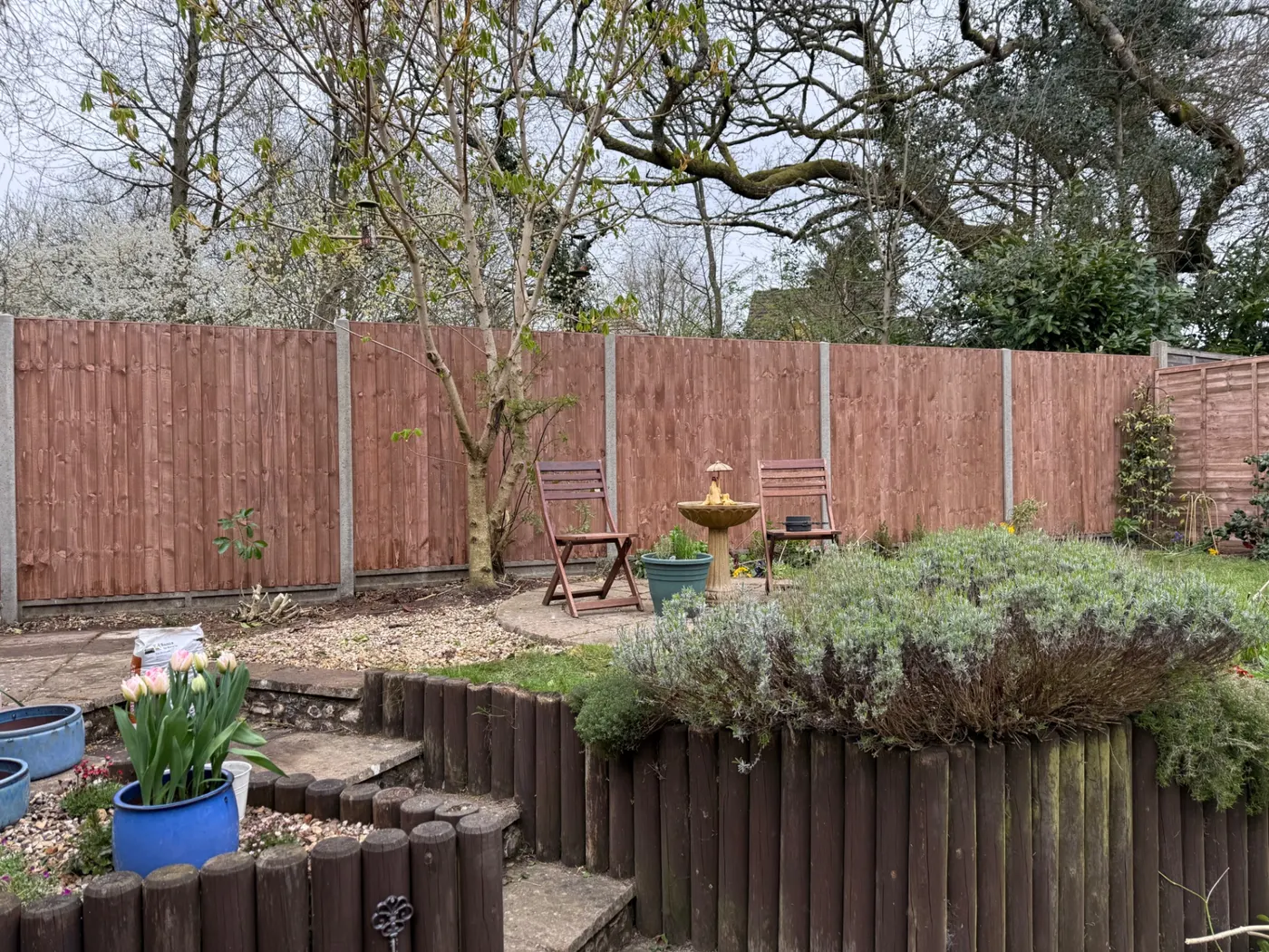 Replacement garden fence panels around a landscaped garden