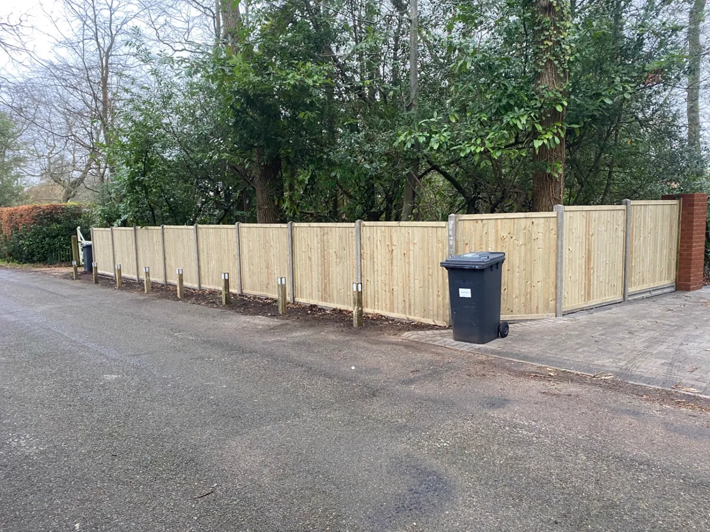 Long run of new feather edge fencing installed along a driveway boundary near Guildford