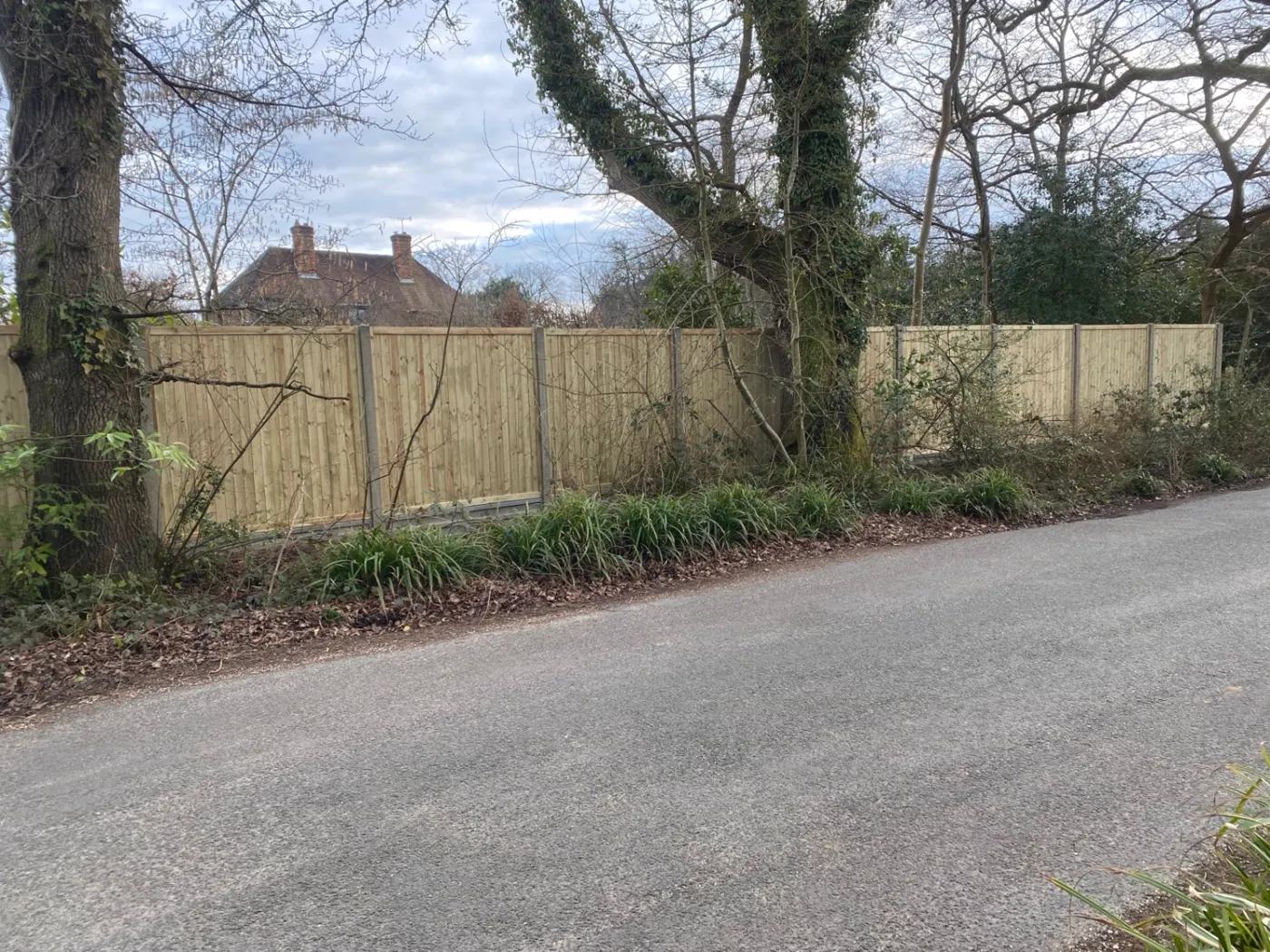 Feather edge fence panels installed beside a village lane near Guildford