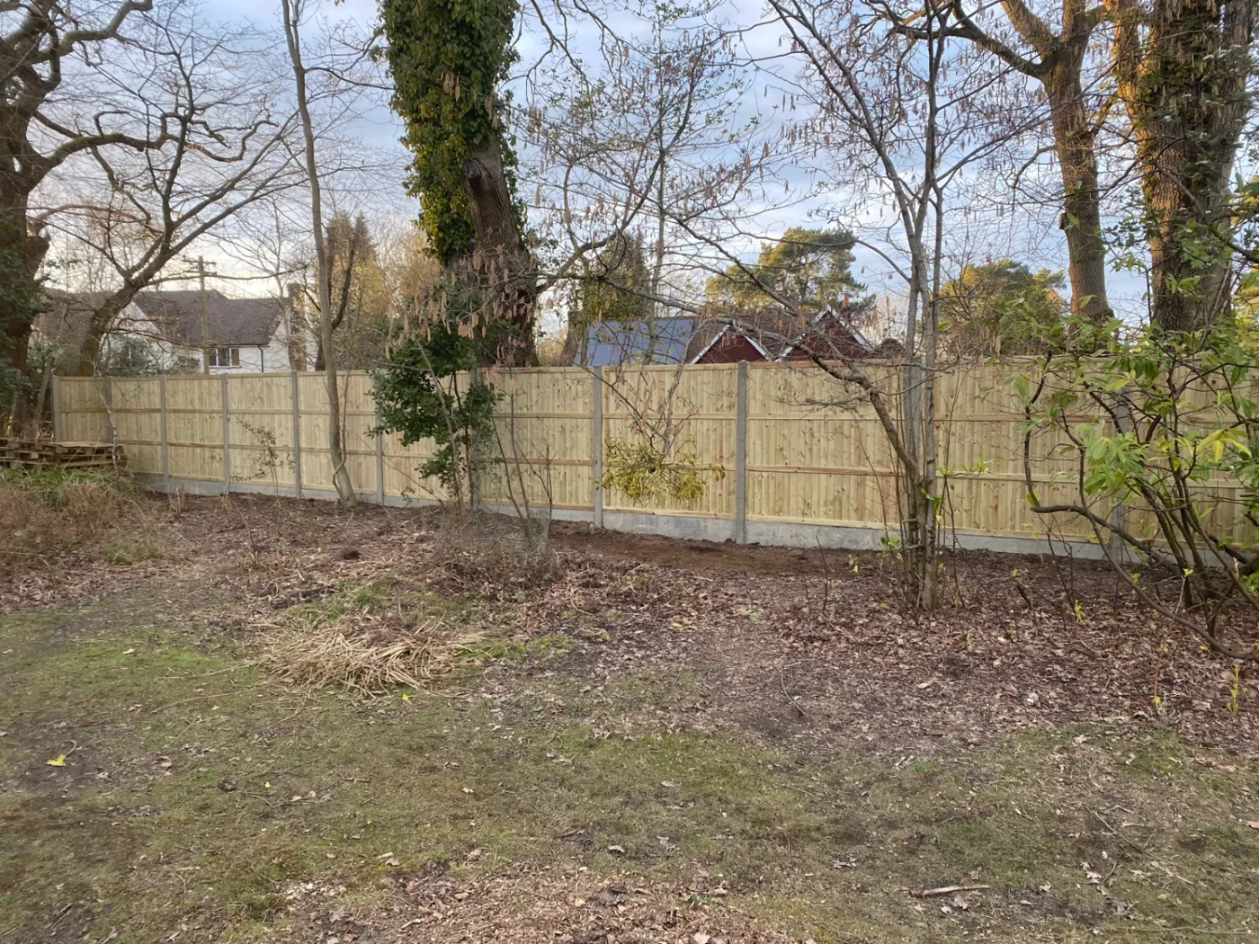 New fence line installed along a wooded boundary in a Surrey garden
