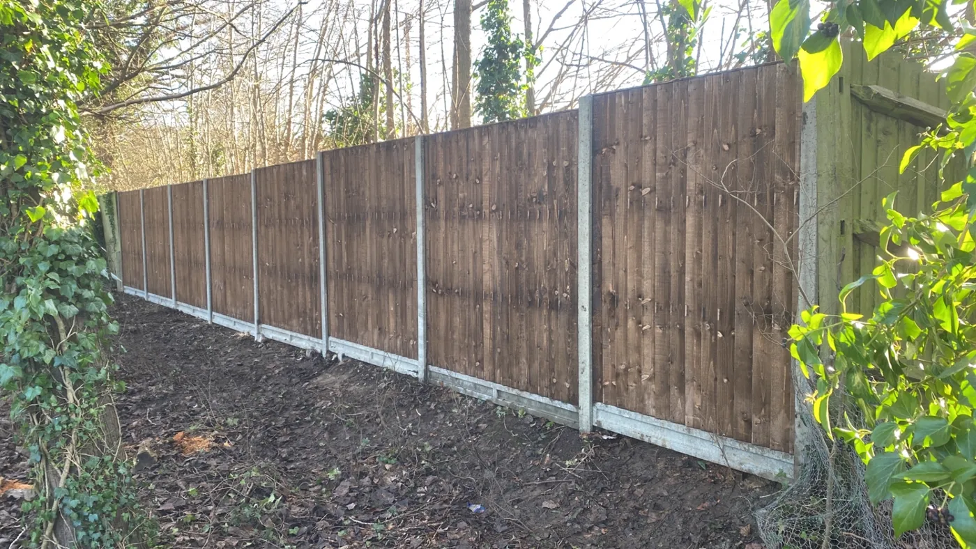 Brown feather edge garden fence panels along a woodland boundary