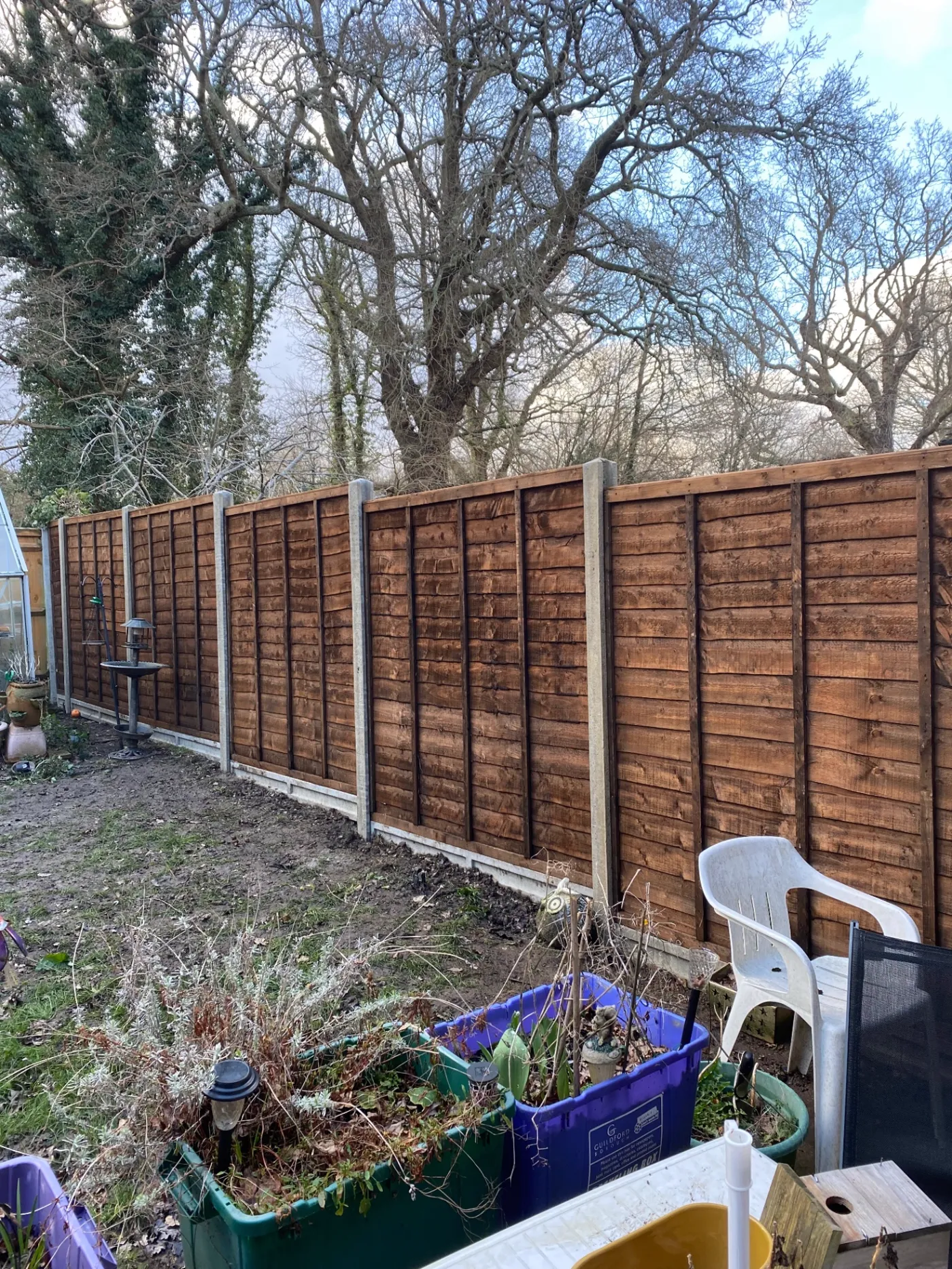 Lap garden fence panels replaced behind a Guildford garden