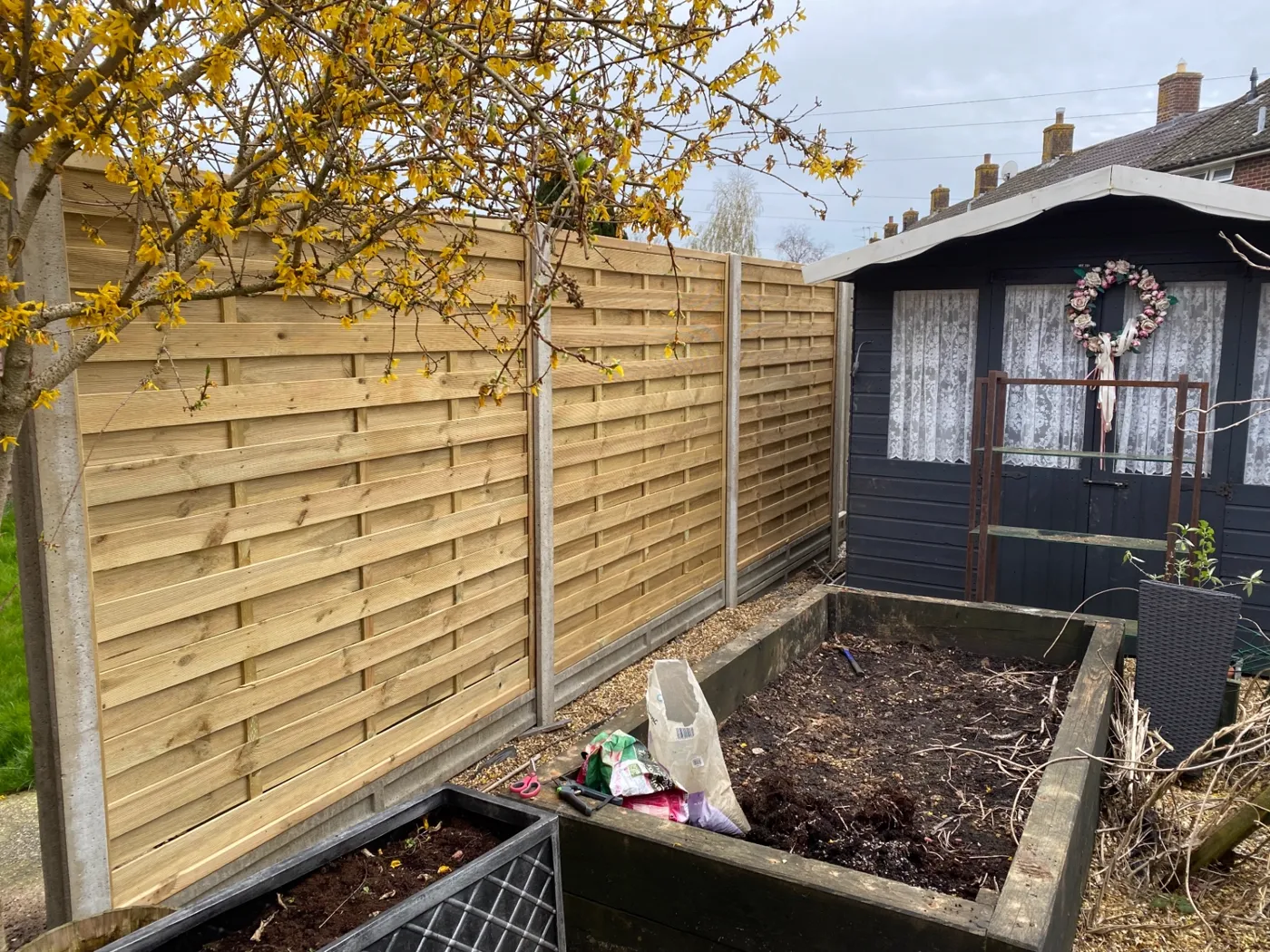 Woven garden fence panels with concrete posts beside raised beds